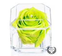Eternal Petals A 100% Real Rose That Lasts Years, Handmade in UK - Gold Solo with A Multicolour Crystal (Lime)