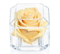 Eternal Petals A 100% Real Rose That Lasts Years, Handmade in UK - Gold Solo with A Multicolour Crystal (Champagne)
