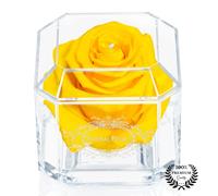 Eternal Petals A 100% Real Rose That Lasts Years, Handmade in UK - White Gold Solo with A Clear Crystal (Yellow)