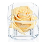 Eternal Petals A 100% Real Rose That Lasts Years, Handmade in UK - White Gold Solo with A Clear Crystal (Champagne)