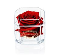 Eternal Petals Rose With Customised Rose, Personalised Rose Colour, Greeting Card, Gift Wrapping, Glitter, Initials, Logo and 18ct Necklace