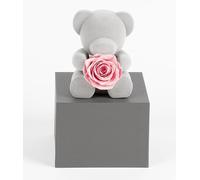 Eternal Rose Bear Gift For New-Born Birthday Valentines Day (PINK)