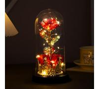 Eternal Rose Gift - Artificial Rose in Plastic Dome, Golden Crown Base, Warm LED Light, Perfect for Women, Birthdays, Valentine's Day, Anniversaries, Home Decor (Red)