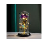 Eternal Rose in a Glass Dome with LED Lights - Romantic Gift for Valentine's Day, Anniversary, Mother's Day, Christmas & More