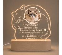EternalEcho Personalised Cat Memorial Plaque with Photo, Name & Dates, LED Base - Curled by My Side