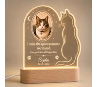 EternalEcho Personalised Cat Memorial Plaque with Photo, Name & Dates, LED Base - Quiet Moments