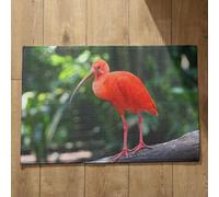 Ethereval Artsy Doormats Bathroom Inside Mat Bird Go Away Door Mat Mat For Kitchen Floor Quick Dry, Machine Washable, Absorbent Bath Mats 50x80cm