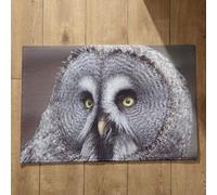Ethereval Artsy Doormats Foot Wash Mat Owl Colourful Doormats Inside Outdoor Foot Mats Quick Dry, Machine Washable, Absorbent Bath Mats 50x80cm