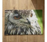 Ethereval Back Door Mats Indoor Funny Bathroom Mat Large Set Owl Welcome Mats For Front Door Large Floor Mats For Home Office 45x75cm