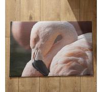 Ethereval Cute Front Door Mat Dirt Trapper Mat Flamingo Funny Cute Outdoor Mats For Front Door Mats Indoor-Outdoor Quick Dry, Machine Washable, Absorbent Bath Mats 45x75cm