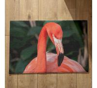 Ethereval Dirt Trapper Door Mat Outdoor Bath Mats For Bathroom Floor Flamingo Door Mats Outside Shower Foot Scrubber Mat Quick Dry, Machine Washable, Absorbent Bath Mats 45x75cm