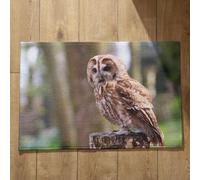 Ethereval Door Mats Outdoor Entrance Extra Large Bathroom Mat Non Slip Owl Doormat Funny Doormat Indoor Square Quick Dry, Machine Washable, Absorbent Bath Mats 45x75cm