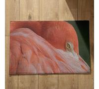 Ethereval Door Mats Outdoor Welcome Large Indoor Foot Mat Flamingo Plain Door Mat Mats And Rugs Quick Dry, Machine Washable, Absorbent Bath Mats 45x75cm
