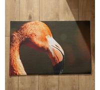 Ethereval Door Matts Outdoors Entrance Mats Kitchen Flamingo Outside Doormats Uk Indoor Doormats Non Slip Quick Dry, Machine Washable, Absorbent Bath Mats 45x75cm