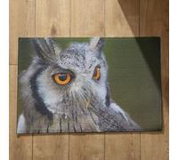 Ethereval Doormats Inside Large Mat Outdoor Patio Owl Autumn Doormat Mats In Bulk Quick Dry, Machine Washable, Absorbent Bath Mats 45x75cm