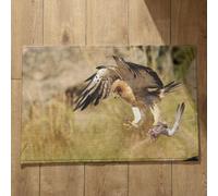 Ethereval Indoor Door Mats For Entryway Colourful Bath Mats For Bathroom Eagle Doormats Outside Autumn Mats Outdoor Entrance 40x60cm