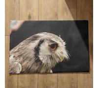 Ethereval Indoor Door Mats Non Slip Washable Mats In Bulk Owl Vintage Door Mats Small Foot Mats For Living Room Quick Dry, Machine Washable, Absorbent Bath Mats 45x75cm