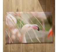 Ethereval Indoor Door Mats Washable Doormat Outdoor Long Flamingo Plain Doormat Mat Indoor Quick Dry, Machine Washable, Absorbent Bath Mats 50x80cm