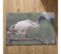 Ethereval Indoor Mats For Front Door Non Slip Bath Mats For Bathroom Non Slip Large Bird Door Mat Inside Floor Mats Quick Dry, Machine Washable, Absorbent Bath Mats 45x75cm