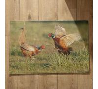 Ethereval Inside Door Mats For Home Entrance Full Length Bath Mats Non Slip Bird Outside Door Mats For Front Door Large Bath Mats For Bathroom 40x60cm
