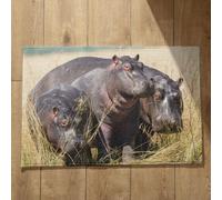Ethereval Large Front Door Mat Bath And Toilet Mat Set Hippo Door Mat Cute Funny Bath Mat Quick Dry, Machine Washable, Absorbent Bath Mats 40x60cm
