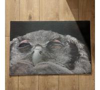 Ethereval Non Slip Door Mat Indoor Floor Mats Kitchen Owl Patio Doormats Mat Queen Size Quick Dry, Machine Washable, Absorbent Bath Mats 50x80cm