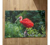 Ethereval Non Slip Doormats Inside Mat Man Kit Bird Patio Doormats Doormat Indoor Quick Dry, Machine Washable, Absorbent Bath Mats 40x60cm
