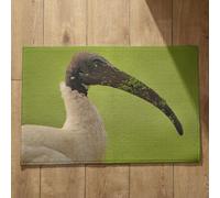 Ethereval Outside Doormats Uk Doormat Indoor Square Bird Front Door Mat Funny Bathroom Mat Set Quick Dry, Machine Washable, Absorbent Bath Mats 40x60cm