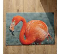 Ethereval Plain Doormat Mats Room Flamingo Doormats Outside Small Foot Mats Quick Dry, Machine Washable, Absorbent Bath Mats 50x80cm