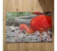 Ethereval Plain Doormat Superior Dirt Trapper Mat Bird Large Outdoor Door Mat Mats Deals Quick Dry, Machine Washable, Absorbent Bath Mats 45x75cm