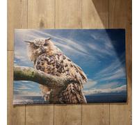 Ethereval Queen Door Mats Non Slip Bath Mats For Inside Shower Owl Large Outdoor Mats For Front Door Mat Anti Slip Quick Dry, Machine Washable, Absorbent Bath Mats 50x80cm