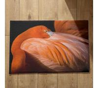 Ethereval Small Door Mats Mat Man Kit Flamingo Dirt Trapper Door Mats Indoor Runner Foot Mats Quick Dry, Machine Washable, Absorbent Bath Mats 40x60cm
