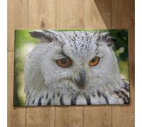 Ethereval Vintage Door Mat Non Slip Bath Mats For Inside Shower Owl Autumn Doormat Floor Mats Quick Dry, Machine Washable, Absorbent Bath Mats 45x75cm
