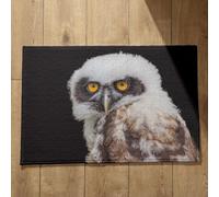 Ethereval Welcome Mats For Front Door Fall Washable Bathroom Mat Eagle Autumn Door Mat Hand And Foot Print Mats Quick Dry, Machine Washable, Absorbent Bath Mats 50x80cm