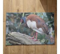 Ethereval Welcome Mats For Front Door Outside Bathroom Mat Bird Funny Inside Doormat Machine Washable Bath Mat Quick Dry, Machine Washable, Absorbent Bath Mats 40x60cm