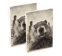 EtherSpher A5 size Wills Tower Groundhog notebook wide 8.3" x 5.7", wire-bound subject spiral notebook wide 60 sheets for working&classroom 2 pack