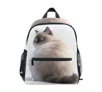 EtherSpher backpack accessories for kids with name tag Angry Fat Cat