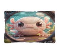 EtherSpher Cartoon Axolotl Washable Dog Cat Bed Soft Comfortable Anti-Slip Bottom Pet Mat for Large Jumbo Medium Small Dogs 36" x 24"