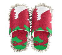 EtherSpher Microfiber Cleaning Slippers Cleaning Slippers Flag Of Wales