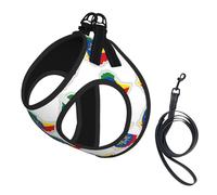 Ethiopia Flag Map print Dog Harness and Leash Set, Reflective Adjustable Puppy Vest for Small Medium Large Dogs, Cats
