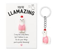 Ethlomoer Cute Llama Keyring - Little Pink Llama Keychain with Encouragement Card, Pocket Hug & Good Luck Card - Mini Keyring for Women & Kids, Pendant Accessories