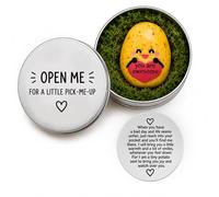 Ethlomoer Tiny Resin Potato Figurine in Aluminium Tin Box, Comfort Pocket Potato with Positive Poem, Pick-Me-Up Small Gift for Bad Days, Cute Keepsake Present for Her, Friendship Gift