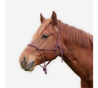 Ethological Horse Riding Halter For Horse - Burgundy