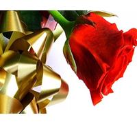 Etja Primrose Oil BIO 50ml