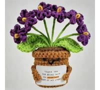 Etnirothbw Crochet Flower Bouquet, Knitted Crochet Flowers-Purple, Crochet Flower Gift for Teacher, Mum, Coworker, Friends, Home & Office Desk Décor, Thank You Gift