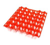Eton Plastic Keyes Trays - Orange - 20 Eggs