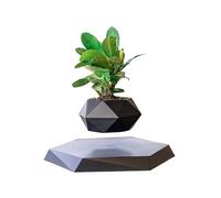 ETRAVEL Wooden Levitating Plant Pot, Succulent Planter, Cactus Planter, Levitating Decor for Home & Office, Magnetic Floating Display, Black