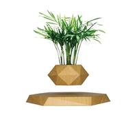 ETRAVEL Wooden Levitating Plant Pot, Succulent Pots Planter Cactus Planter, Levitating Decor for Home & Office Magnetic Floating Levitating Display,Marble (Brown)