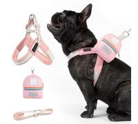 ETUCYNG Dog Harness and Lead - Adjustable Pet Clothes Harness - Comfortable Safety Accessory with Bag for Walks in the City Park Garden Hiking Running