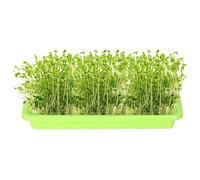 ETUCYNG Seedling Sprouter Tray | Plant Tray Seedling Tray Propagation Tray,Large Capacity Wheatgrass Grower, Microgreens & Nursery Tray For Efficient Bean Sprouts Growing Indoors
